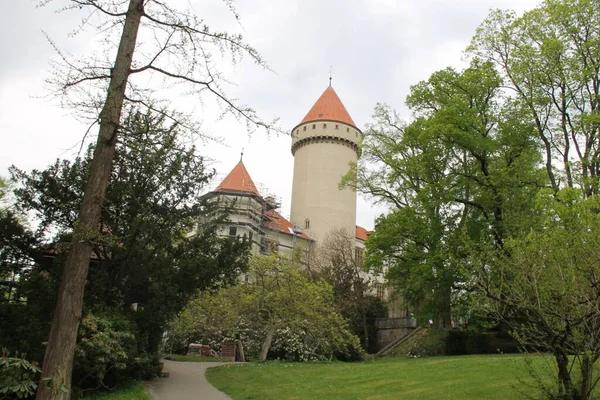 Ένας Κήπος Του Κάστρου Konopiste Τσεχική Δημοκρατία — Φωτογραφία Αρχείου