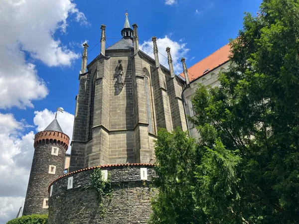 Back Zleby Castle Czech Republic — Stok fotoğraf