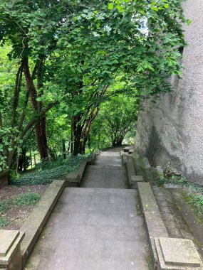 Park of Opocno Castle, Czech Republic