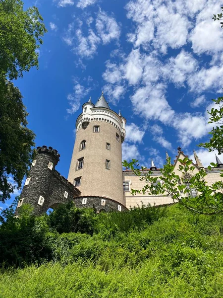 View Zleby Castle Czech Republic Park — Stockfoto
