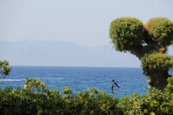 Yunanistan Rodos Kentinde Deniz Tropikal Ağaçta Sörfçü — Stok fotoğraf