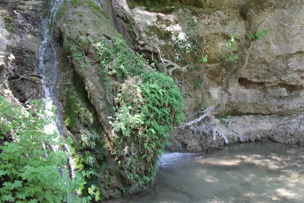 Butterfly Valley Rhodes Greece — Stock Photo, Image