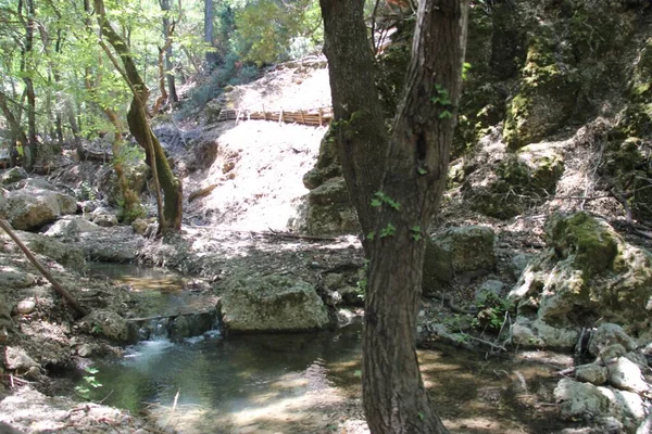 Schmetterlingstal Auf Rhodos Griechenland — Stockfoto