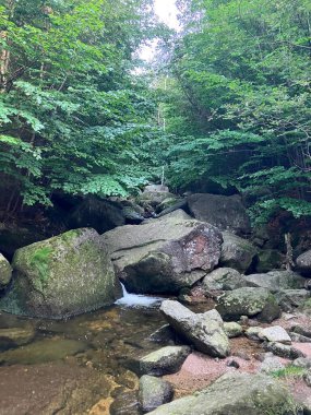 Hejnice 'deki nehirde taşlar, Jizera Dağları, Çek Cumhuriyeti