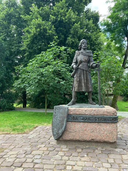 Una Estatua Rzeszow Polonia —  Fotos de Stock