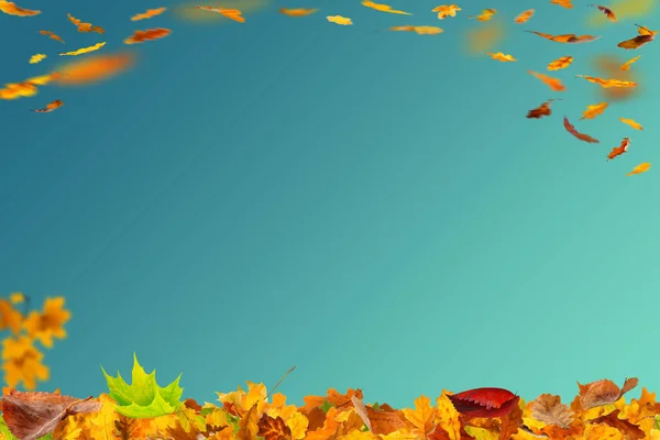 Hallo Herbst Orange Und Gelbe Farben Hintergrund Illustration — Stockfoto