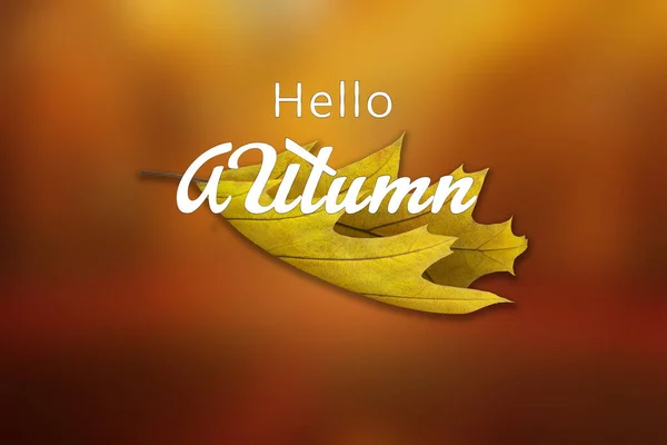 黄色とオレンジ色の秋のイラストを歓迎します — ストック写真