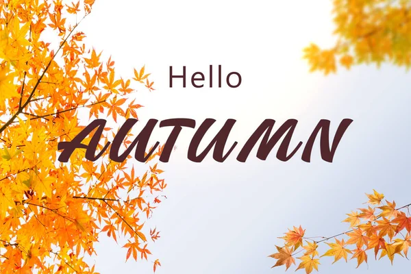 Welcome Autumn Illustration Its Yellow Orange Colors — Stock Photo, Image