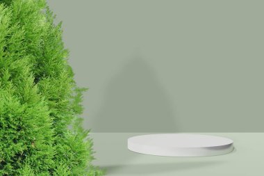 Yeşil kaide ve ağaç konsepti. Marka tanıtım ürünleri için podyum, gerçekçi 3D dijital oluşturma