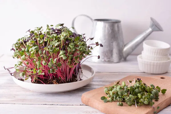 Beyaz ahşap bir masanın üzerinde turp mikroçerezleri, sağlıklı beslenme konsepti, evde yeşil sebze yetiştirme..