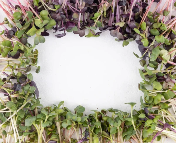 Kiełki Warzyw Formie Ramy Świeże Drobnozielone Rzodkiewki Białym Tle Koncepcja — Zdjęcie stockowe