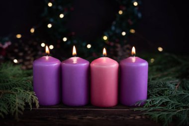Dört sıra yanan mor renkli mumlar yeşil filizler ve koyu ahşap arka planda bir çelenk Noel konsepti..