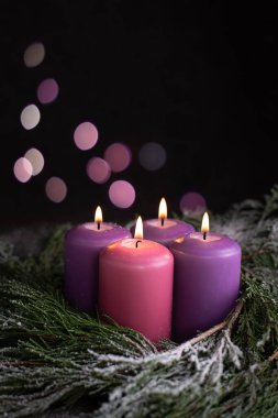 Üç mor ve bir pembe mum ve karla kaplı ladin dalları. Bokeh ışıkları, Noel katolik sembolü..