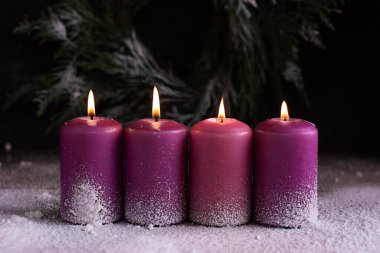 Dört yanan pembe ve mor renkli mum ve kar ve koyu arkaplan üzerine Noel çelengi süslemesi.