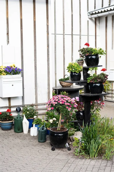 Taman Kecil Pintu Masuk Rumah Dengan Pot Geranium Bunga Dan — Stok Foto