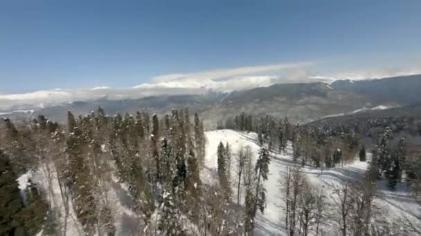 Uçuş sporları FPV İHA 'sı kayak merkezi asansöründe ağaç tepelerinde kapalı. — Stok video