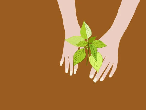 Närbild Mänsklig Hand Som Håller Planta Inklusive Plantering Plantor Begreppet — Stock vektor