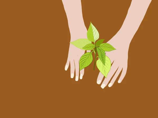 Primer Plano Una Mano Humana Sosteniendo Una Plántula Incluyendo Plantación — Archivo Imágenes Vectoriales