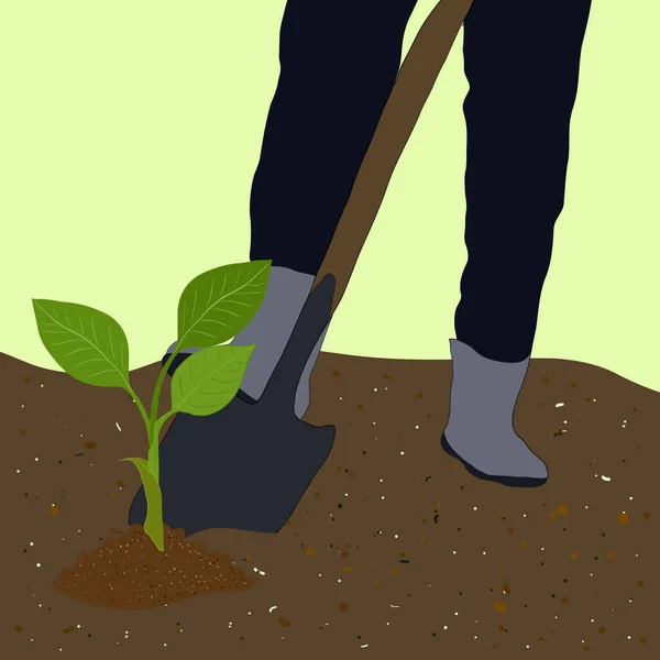 Bonden Planterar Plantor Grönsaker Med Spade Bonden Arbetar Med Spade — Stock vektor