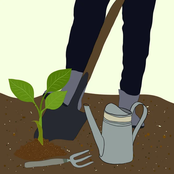 Фермер Сажает Овощные Саженцы Помощью Инструментов Фермер Работает Лопатой Саду — стоковый вектор