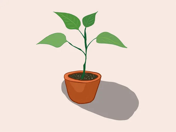 Seedling Plant Flowerpot Isolated White Background — Stock Vector