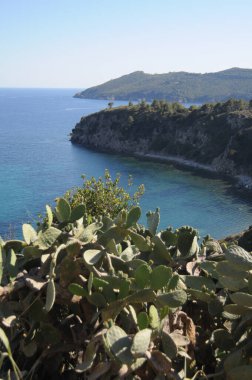 Tuscany 'deki Elba adasının görkemli doğasının manzarası