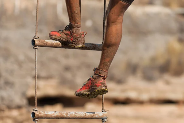 경주자는 사다리를 장애물을 — 스톡 사진