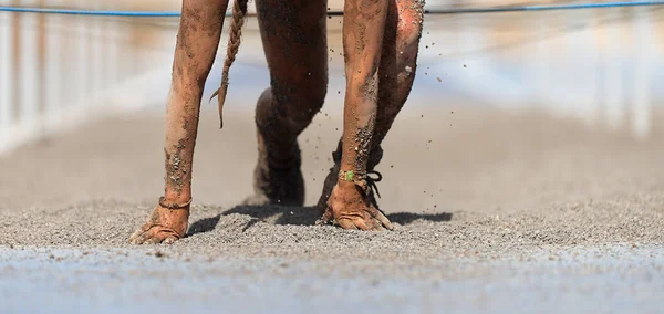 Corredores Barro Arrastrándose Pasando Por Debajo Alambre Obstáculos Durante Carrera — Foto de Stock