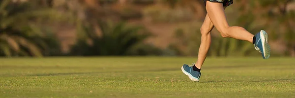 Läuferfüße Laufen Auf Gras Weibliches Fitness Sonnenlicht Jogging Training Sportler — Stockfoto
