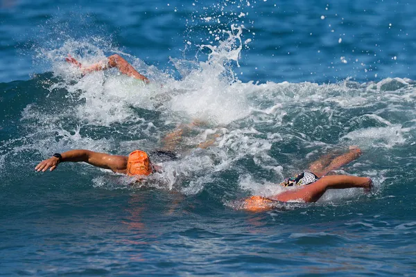 Csoportos Úszók Úszás Kék Tengerben Tréning Triatlon — Stock Fotó