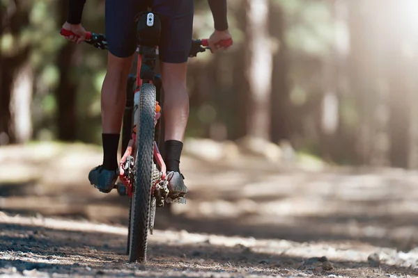 Bicicleta Montaña Hombre Montar Bicicleta Verano Montañas Bosque Paisaje — Foto de Stock