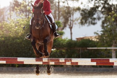 Sport horse jumping over a barrier on a obstacle course, rider in uniform performing jump at show jumping competition