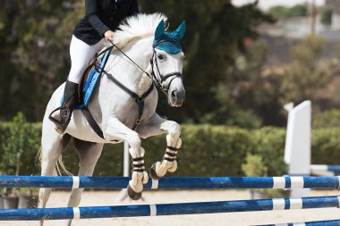 Sport horse jumping over a barrier on a obstacle course, rider in uniform performing jump at show jumping competition