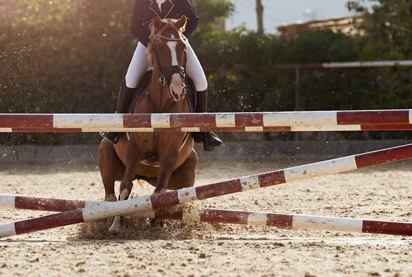 Brown Horse Refusing Jump Obstacle Jump Rider Fall —  Fotos de Stock