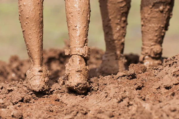 진흙투성이 선수들은 진흙투성이 신발을 진흙투성이 자세를 취한다 — 스톡 사진
