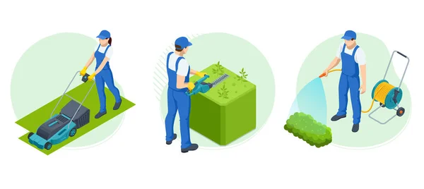 Isometric Agricultural work. Tukang kebun Isometric bekerja di semak belukar, menghapus cuti berlebih. Tukang kebun memangkas dan landscaping semak hijau. Pengairan, pemotong rumput - Stok Vektor