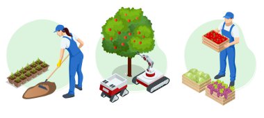 Isometric bahçıvanlar, çiftçiler ve işçiler bahçeyle ilgileniyorlar, tarım ürünleri yetiştiriyorlar. Meyve bahçesindeki olgun elmalar hasat için hazır.