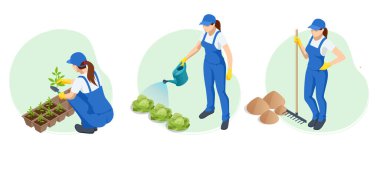 Isometric bahçıvanlar, çiftçiler ve işçiler bahçe bakımı, tarım ürünleri yetiştirme.