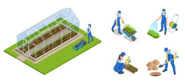 Isometric bahçıvanlar, çiftçiler ve işçiler bahçeyle ilgileniyorlar, tarım ürünleri yetiştiriyorlar. Endüstriyel seranın içinde sıra sıra büyüyen bitkiler. Sanayi tarımı.