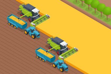 Tahıl hasadı birleşimi. Buğday hasadını birleştirerek olgunlaşmış buğday toplar. Tarım konsepti. Hasat, harman, toplama ve kırbaçlama.