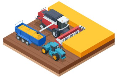 Tahıl hasadı birleşimi. Buğday hasadını birleştirerek olgunlaşmış buğday toplar. Tarım konsepti. Hasat, harman, toplama ve kırbaçlama.