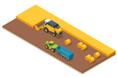 Tahıl hasadı birleşimi. Buğday hasadını birleştirerek olgunlaşmış buğday toplar. Tarım konsepti. Hasat, harman, toplama ve kırbaçlama.