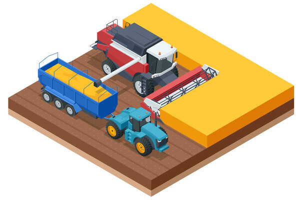 Комбинат по сбору зерна. Комбайн собирает спелую пшеницу. Концепция сельского хозяйства Жатва, молотьба, сбор и подсечка.