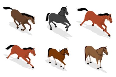 Beyaz arkaplanda izole edilmiş Isometric Horse simgesi. Çeşitli pozlarda duran, yürüyen, koşan, dörtnala koşan, at besleyen hayvanlar.
