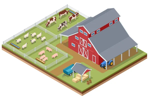 等距农业农场建筑 风车谷仓和筒仓 花园床和拖拉机 奶牛猪 农场里的羊 — 图库矢量图片