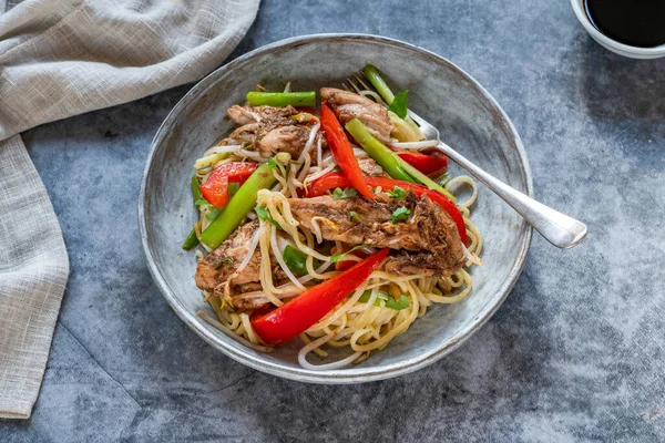Chicken Chow Mein Red Pepper Egg Noodles — Stock Photo, Image