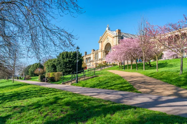 Kirschblüten Alexandra Park London Großbritannien — Stockfoto