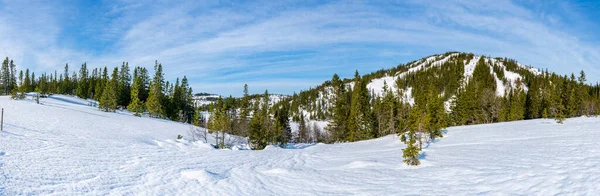 Zimní Krajina Sněhu Pokrytá Přírodní Rezervací Bymarka Trondheimu Norsko — Stock fotografie