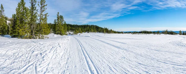 Paisagem Inverno Neve Coberta Reserva Natural Bymarka Trondheim Noruega — Fotografia de Stock