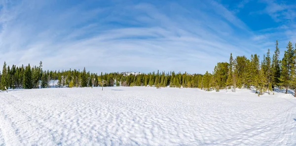 Paesaggio Invernale Coperto Neve Riserva Naturale Bymarka Trondheim Norvegia — Foto Stock
